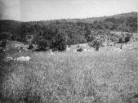 scan0102 - Plesivec